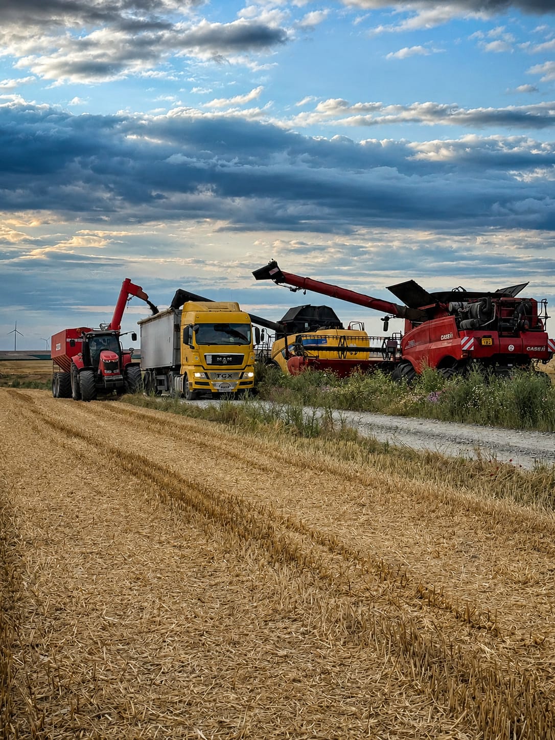 Combine si camion la descarcare boabe — recoltare grau